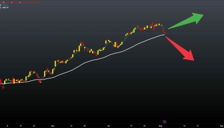 Effect of the S&P 500 Decline