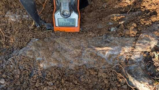 Cannot view this image? Visit: https://images.newsfilecorp.com/files/10633/270619_0d251aeee4aeba99_003.jpg