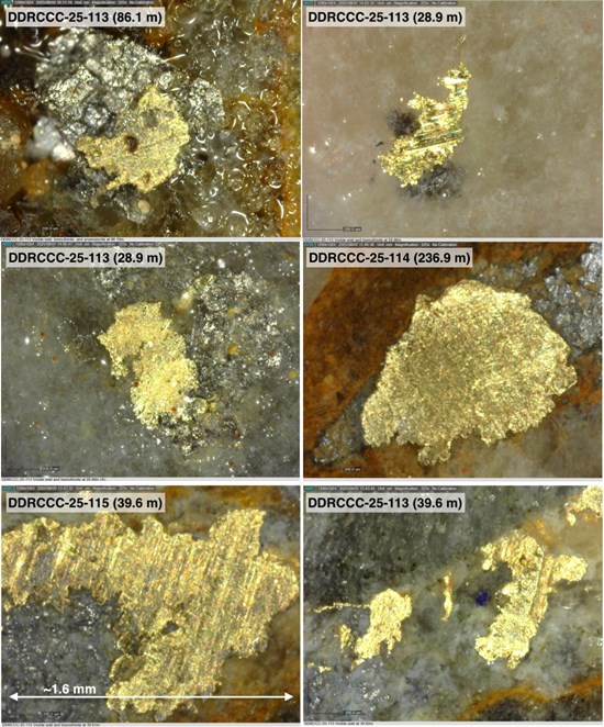 Cannot view this image? Visit: https://fiscalsflare.com/wp-content/uploads/2025/11/274133_fc8a8fb4f4ed5acf_006.jpg